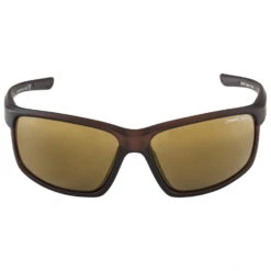 Alpina Defey Mirror Cat 3 - Lunettes Vélo